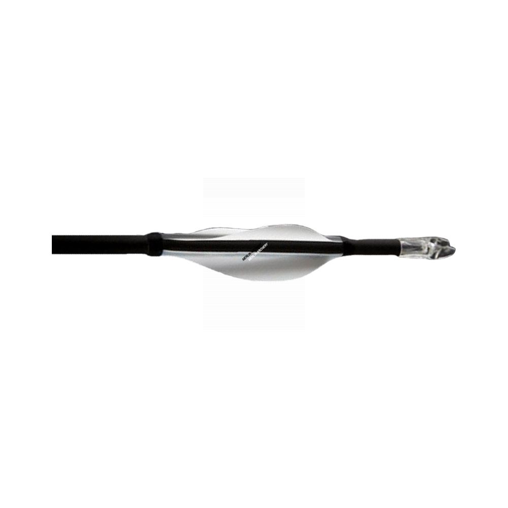 Eli Vanes - P3 - Right Handed