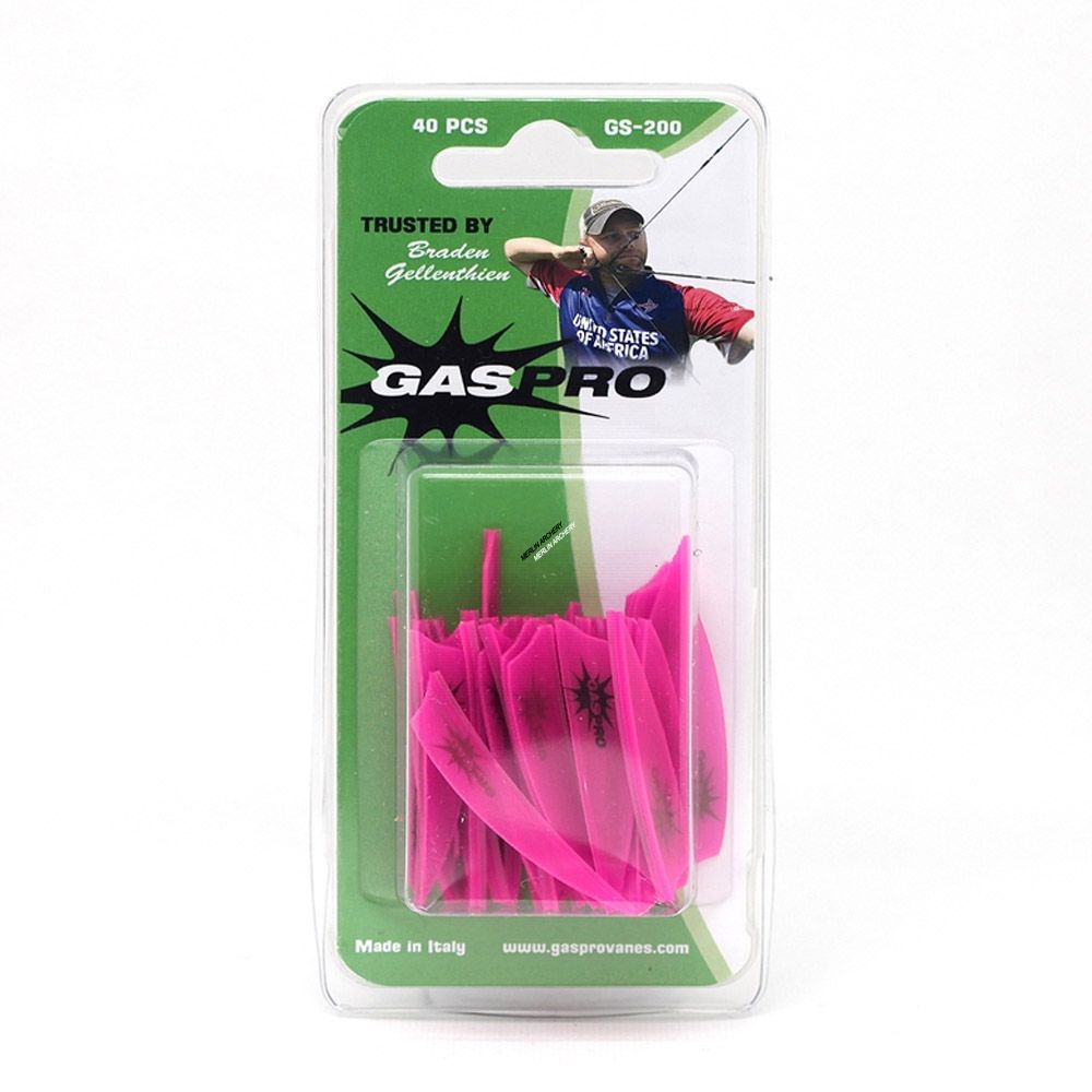 Gas Pro GS-200 Vanes