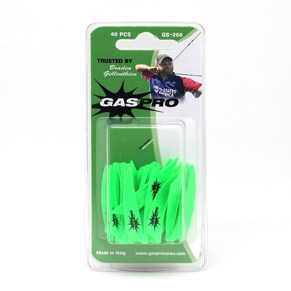 Gas Pro GS-200 Vanes