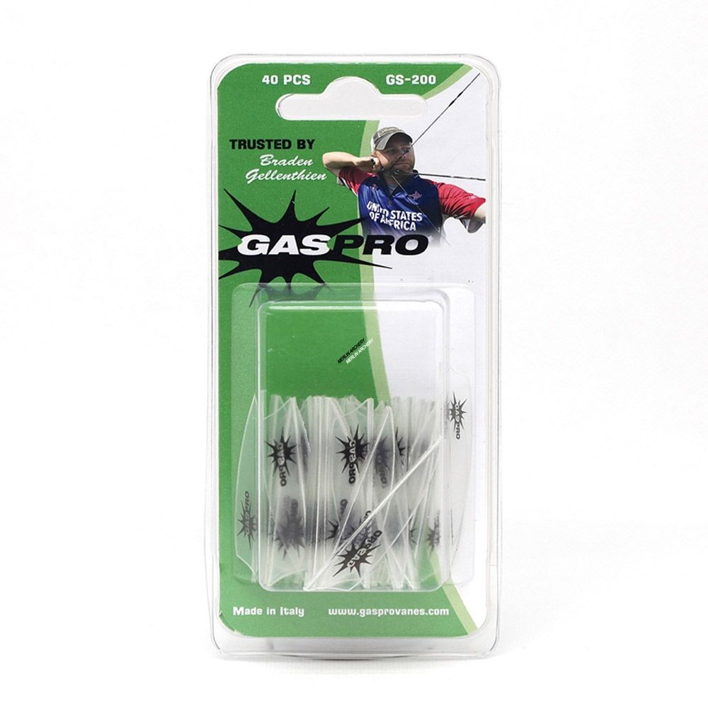 Gas Pro GS-200 Vanes