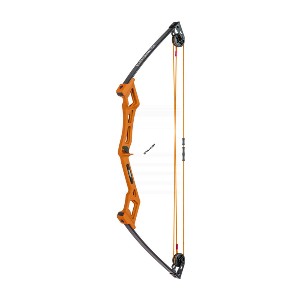Bear Archery Apprentice Bow Set