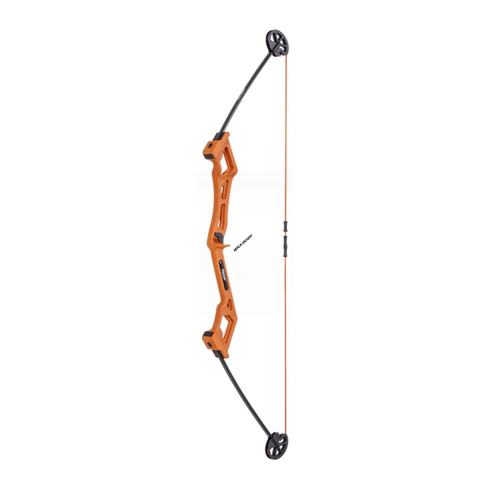 Bear Archery Valiant Bow Set