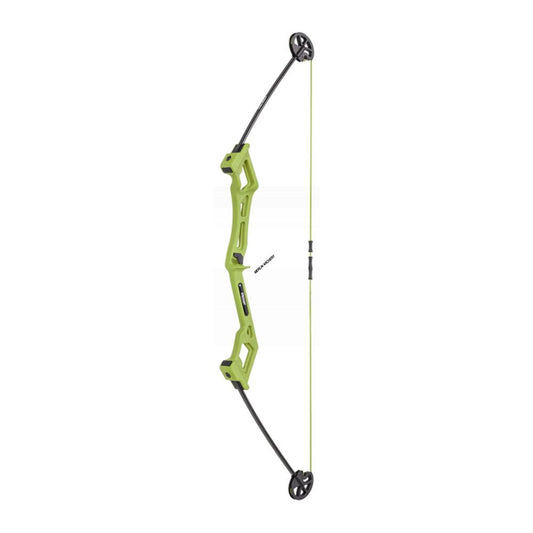 Bear Archery Valiant Bow Set
