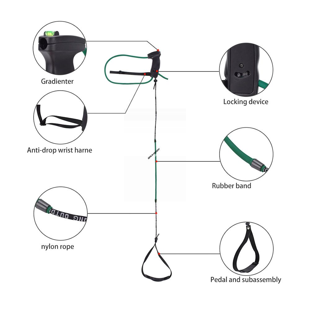Elong Archery Training Device