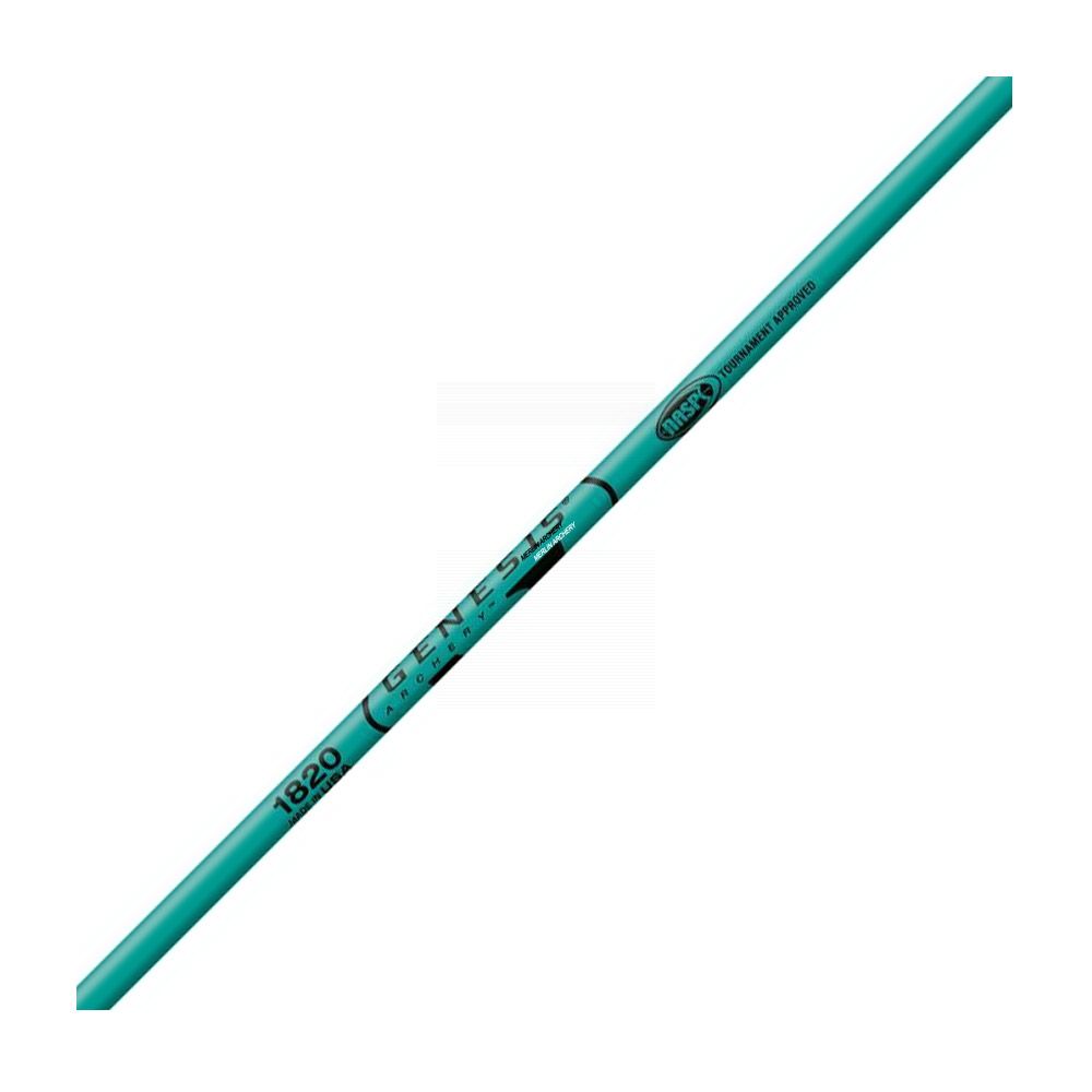 Easton XX75 Genesis Arrows