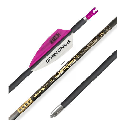 Pandarus Champion 4.2 Arrows - With Vanes