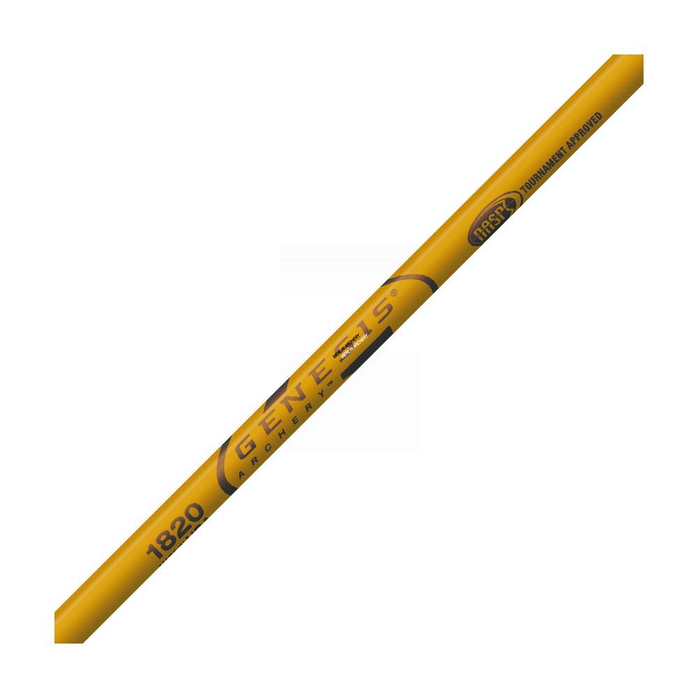 Easton XX75 Genesis Arrows