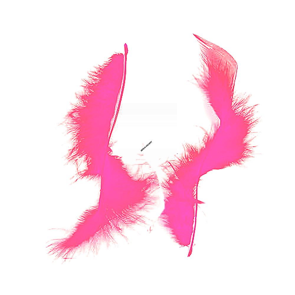 Gateway Feather Tracer