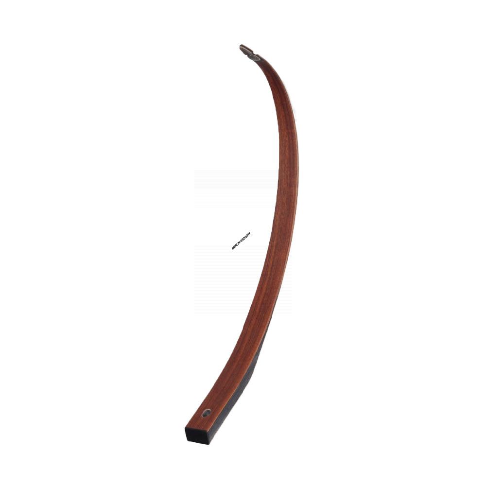 Predator Hunter DX Recurve Limbs