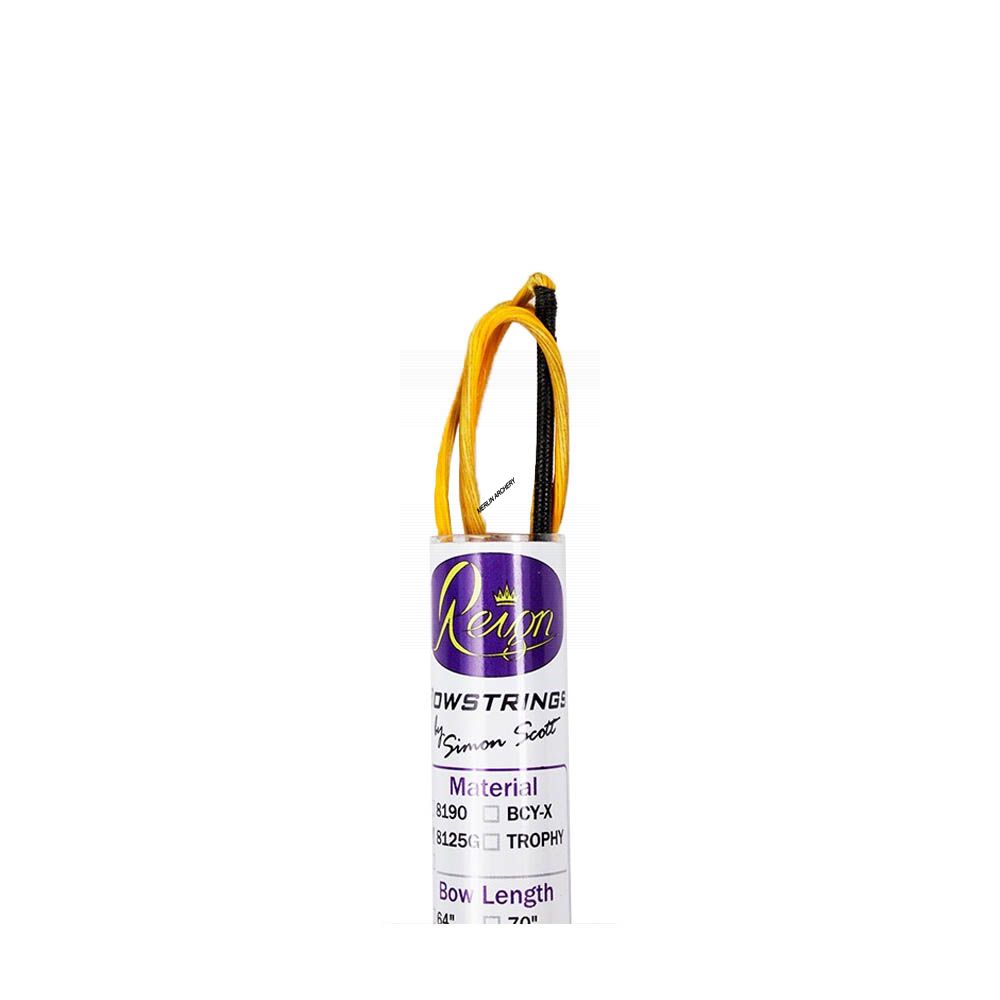 Reign Recurve String - Platinum - BCY 8125 - For 70" Bow
