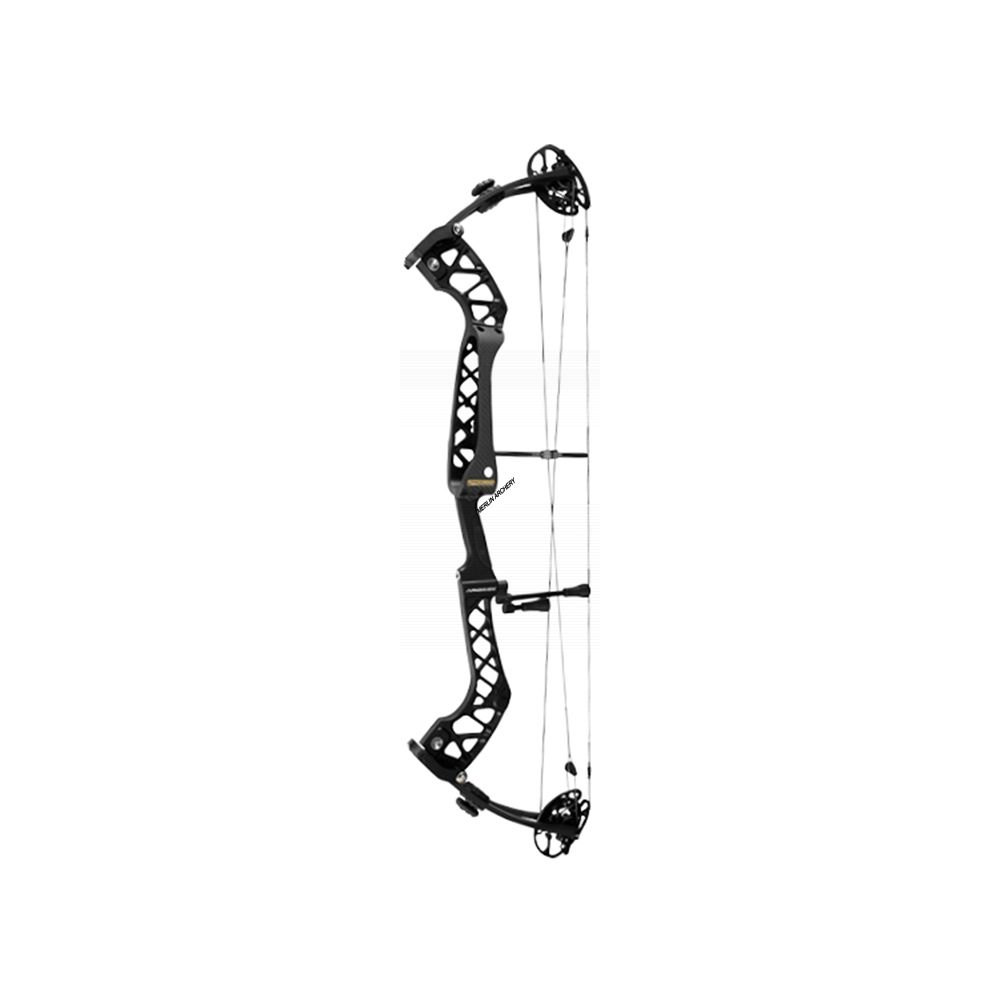 Win Win Arion DX Compound Bow