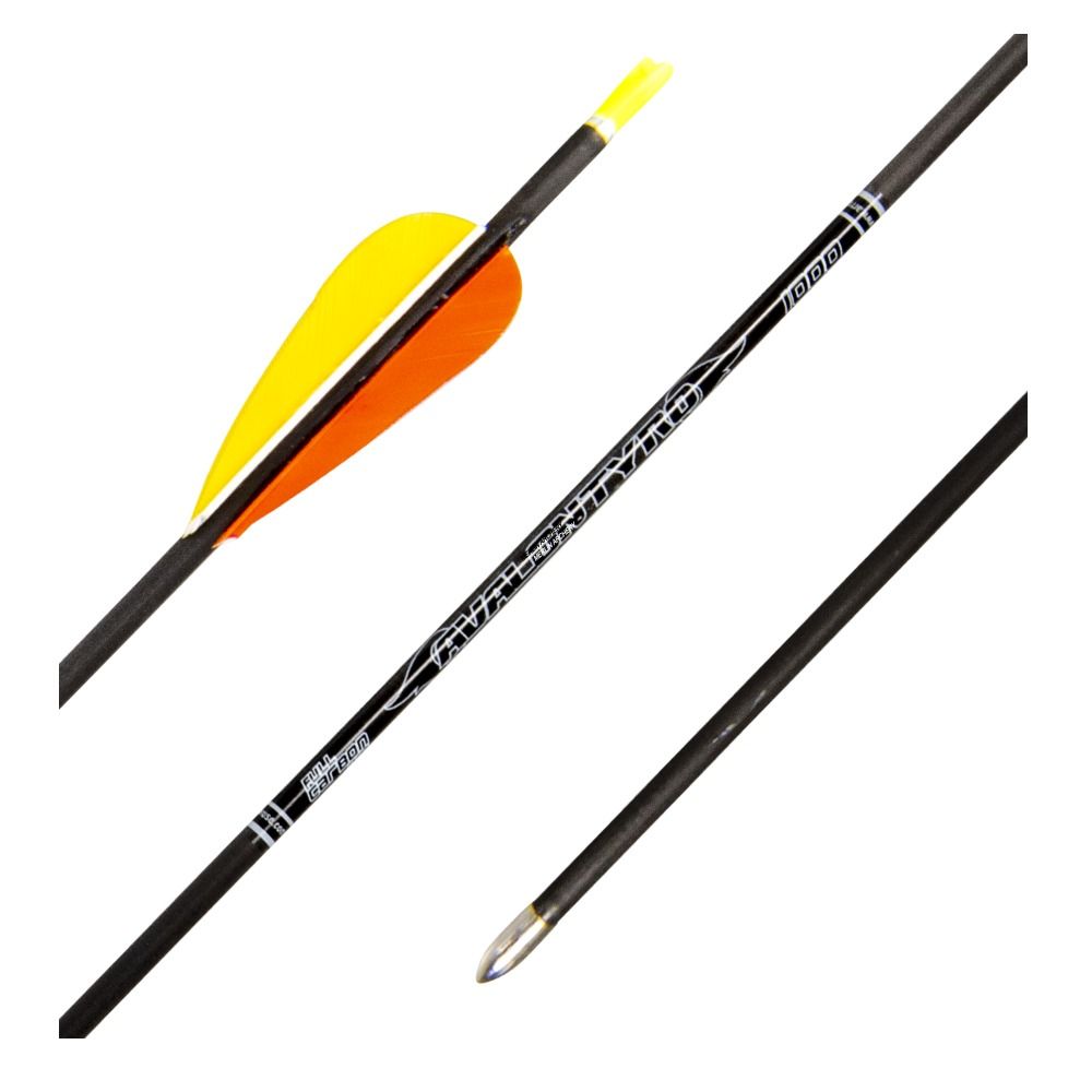Avalon Tyro Carbon Arrows With Feathers