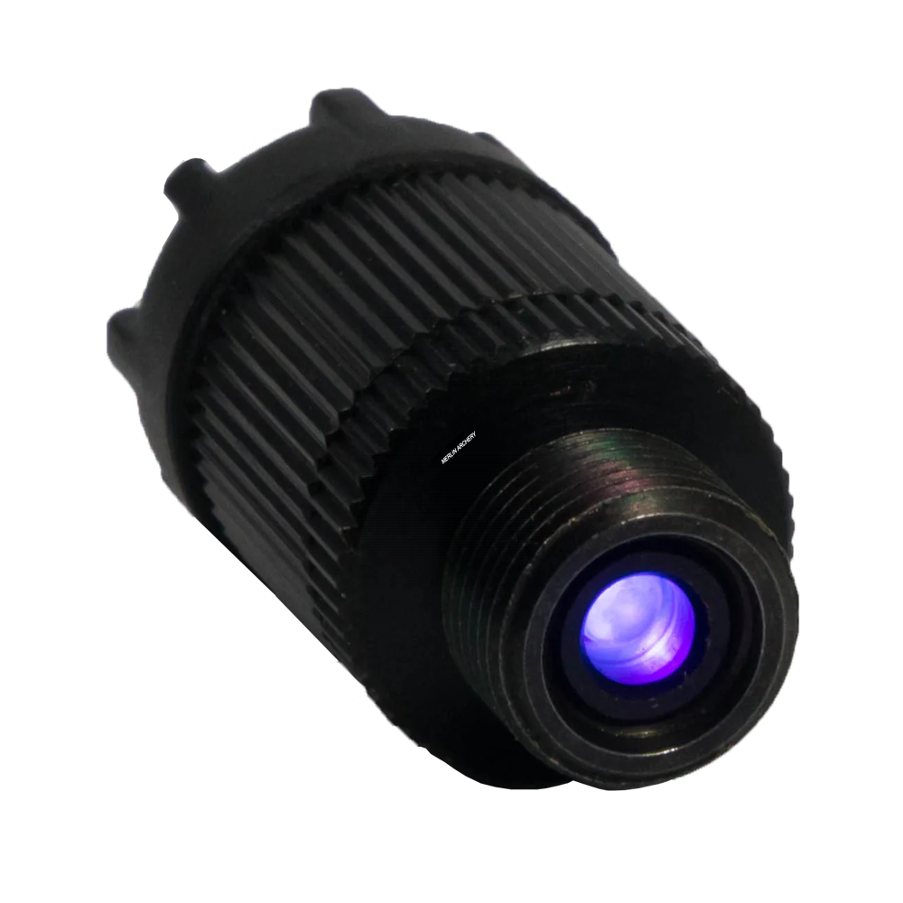 Axcel Sight Lights
